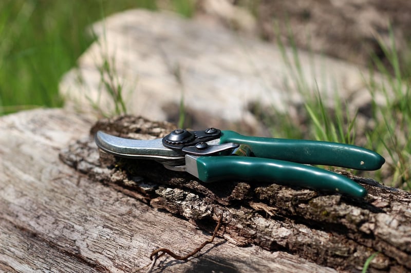 Magic Pruning Shears