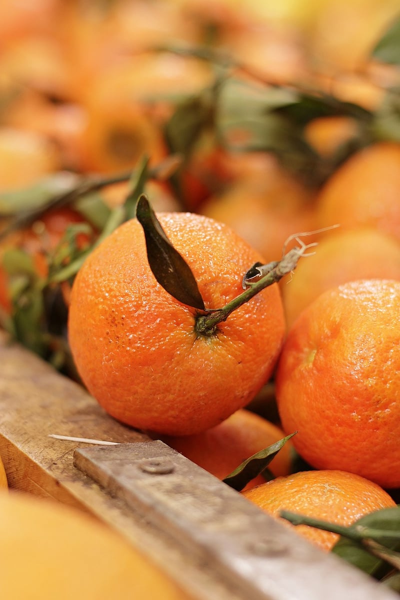 Enchanted Fruits